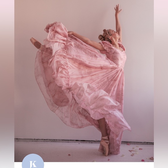 JessaKae RARE Ballerina Dress Silk Princess Gown with Ballerinas Pattern - Picture 3 of 16